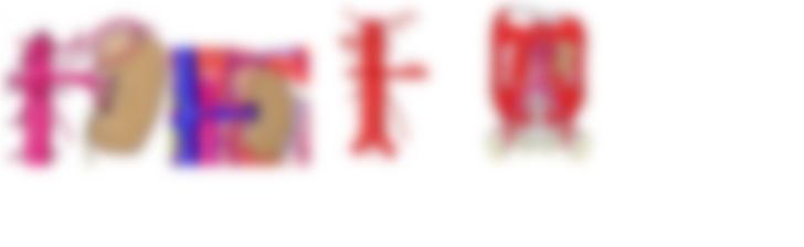 会員限定の図