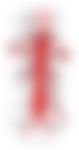 会員限定の図