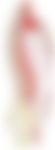 会員限定の図