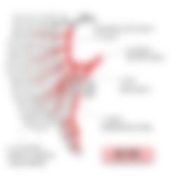 会員限定の図