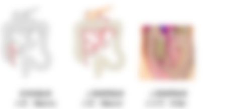 会員限定の図