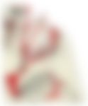 会員限定の図