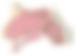 会員限定の図