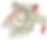 会員限定の図