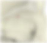 会員限定の図