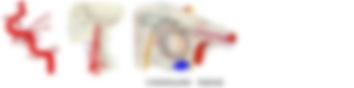 会員限定の図