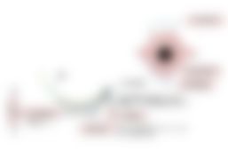 会員限定の図