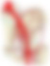 会員限定の図