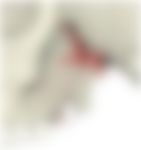 会員限定の図