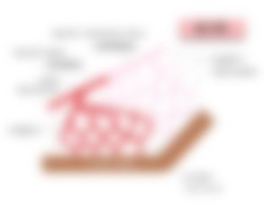 会員限定の図