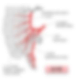 会員限定の図
