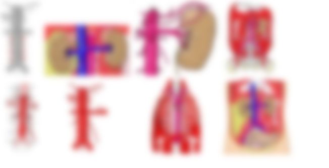 会員限定の図