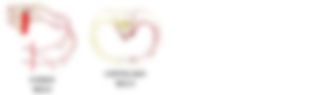 会員限定の図