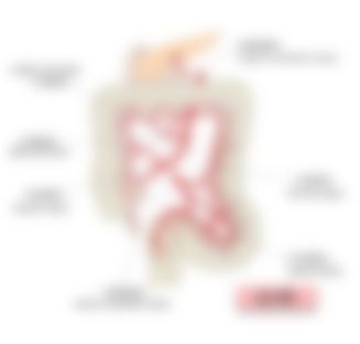 会員限定の図