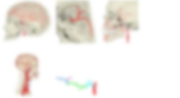 会員限定の図