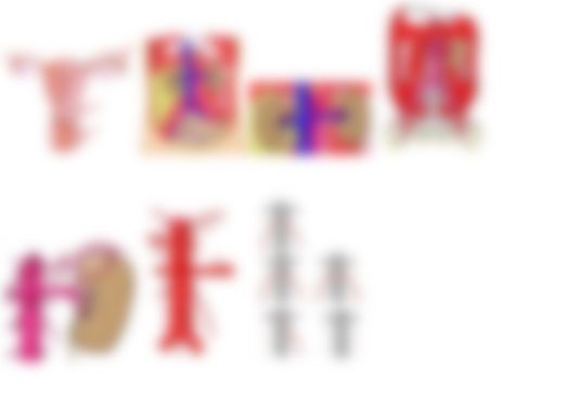 会員限定の図
