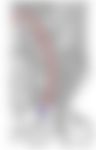 会員限定の図