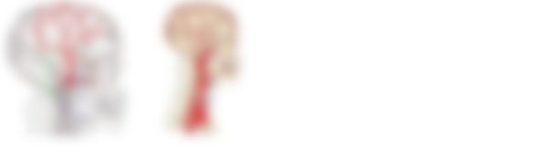 会員限定の図