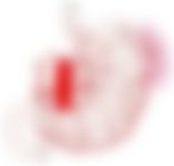 会員限定の図