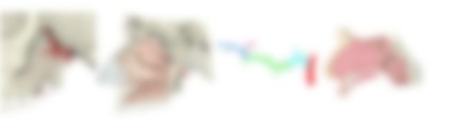 会員限定の図