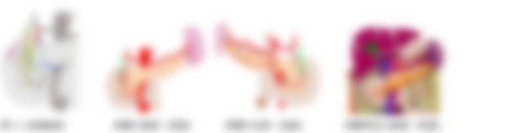 会員限定の図