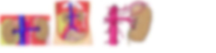 会員限定の図