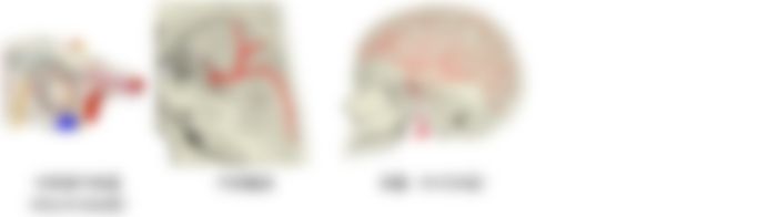 会員限定の図
