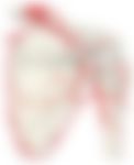 会員限定の図