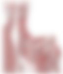 会員限定の図