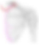 会員限定の図