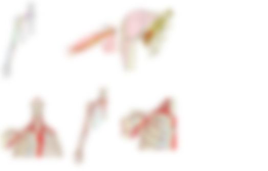 会員限定の図