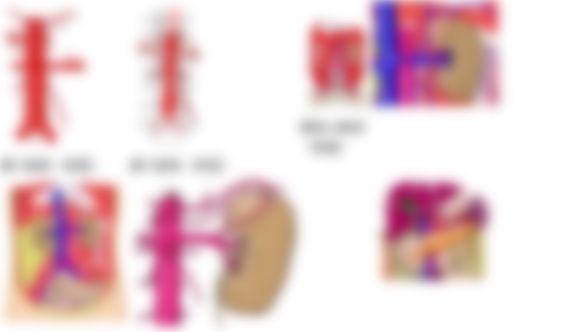会員限定の図