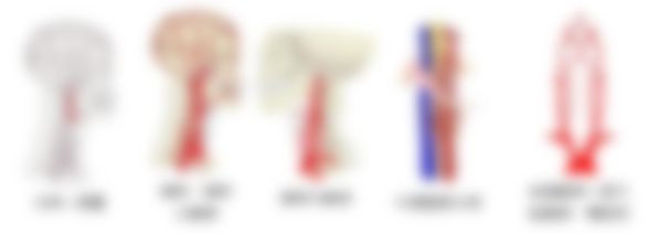 会員限定の図