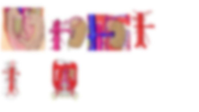 会員限定の図