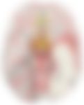 会員限定の図