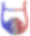会員限定の図