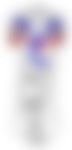 会員限定の図
