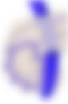 会員限定の図