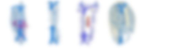 会員限定の図