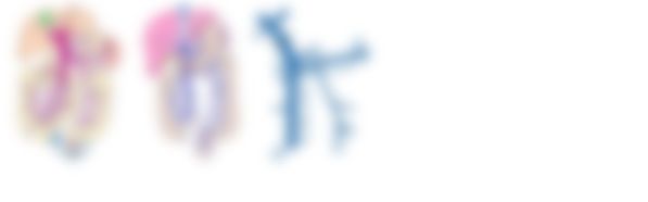 会員限定の図