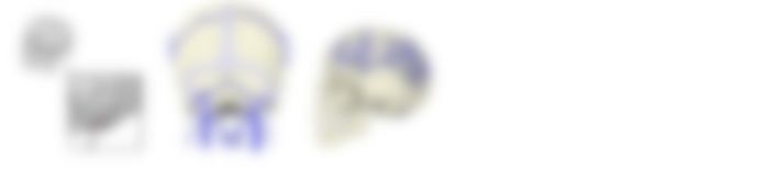 会員限定の図