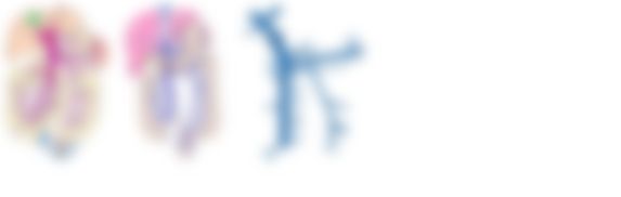 会員限定の図