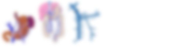 会員限定の図