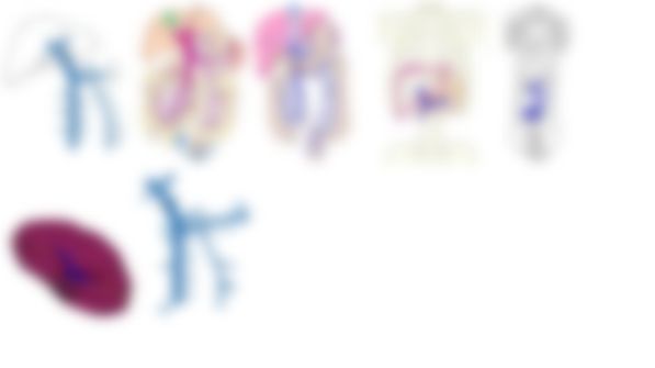 会員限定の図
