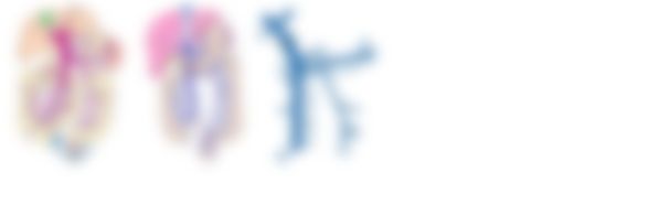 会員限定の図