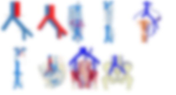 会員限定の図