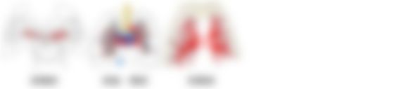 会員限定の図