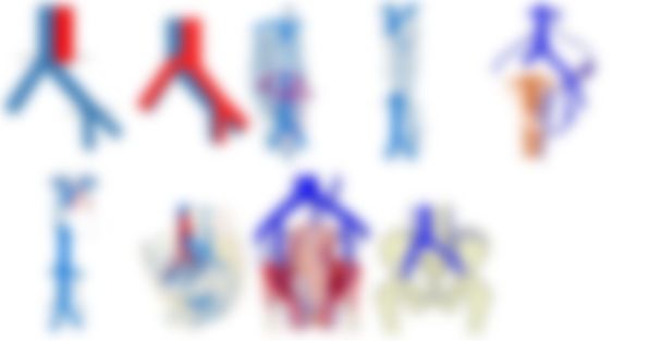 会員限定の図