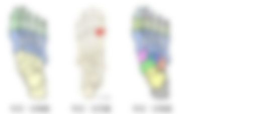 会員限定の図