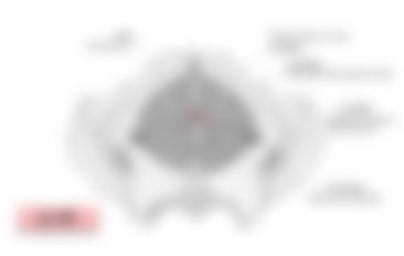 会員限定の図